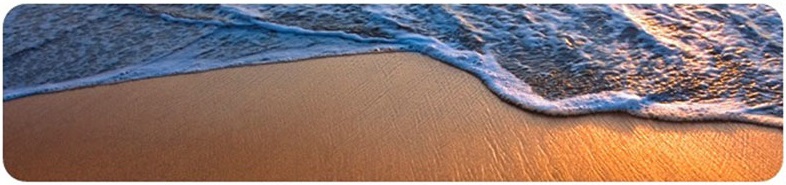 beach banner